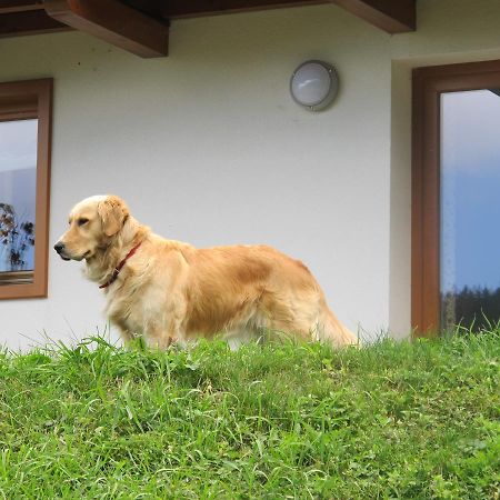 Il Cardo Trentino Apartamento Bedollo Exterior foto