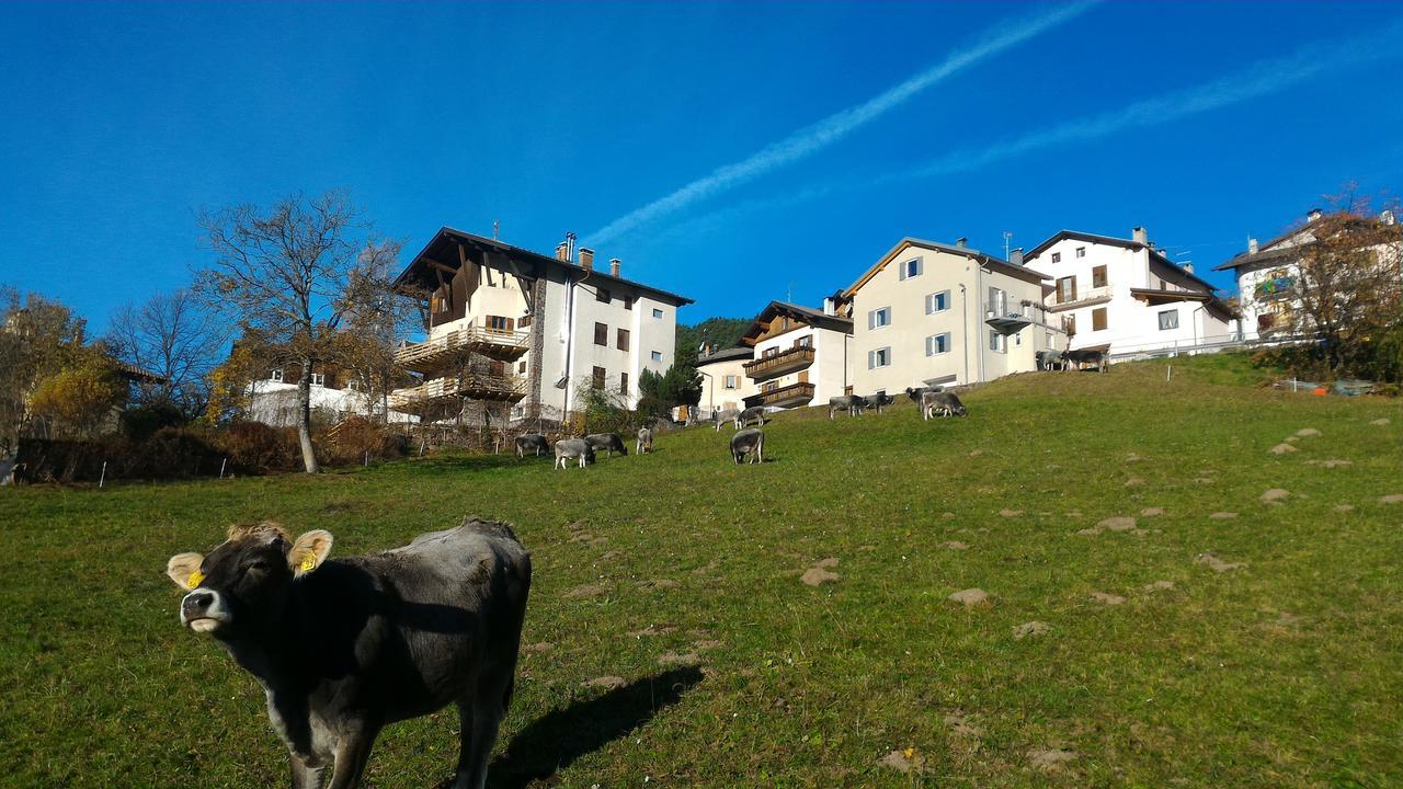 Il Cardo Trentino Apartamento Bedollo Exterior foto