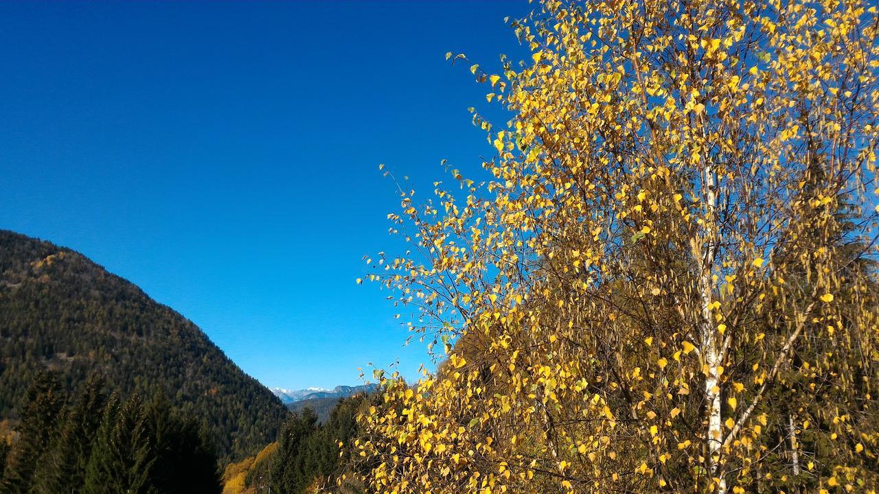 Il Cardo Trentino Apartamento Bedollo Exterior foto