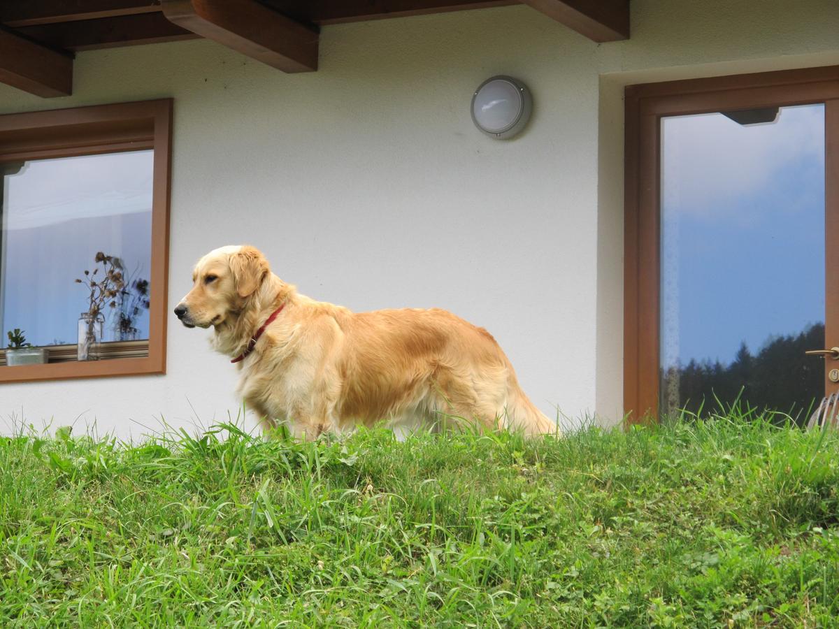 Il Cardo Trentino Apartamento Bedollo Exterior foto