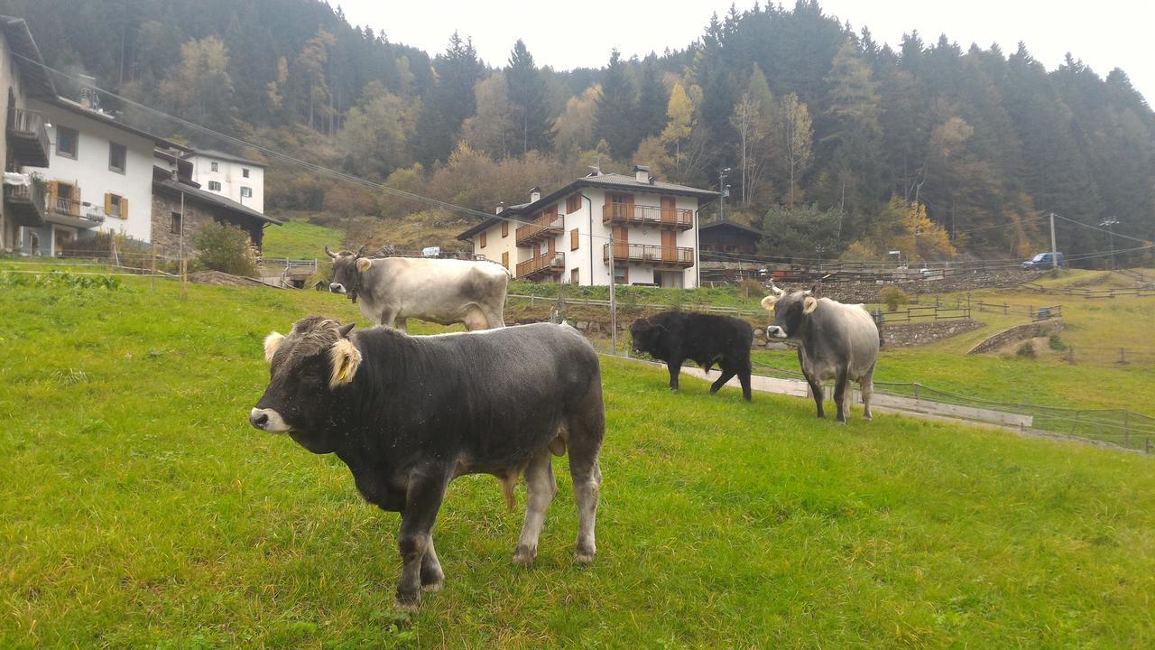 Il Cardo Trentino Apartamento Bedollo Exterior foto