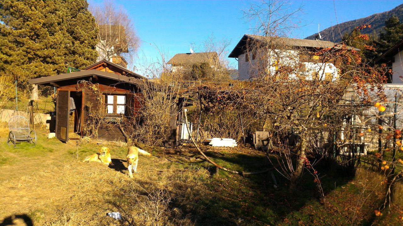 Il Cardo Trentino Apartamento Bedollo Exterior foto