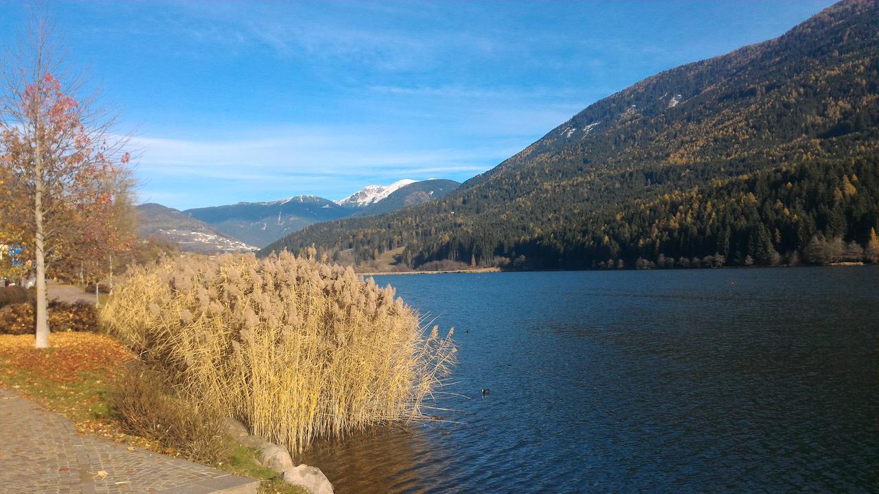 Il Cardo Trentino Apartamento Bedollo Exterior foto